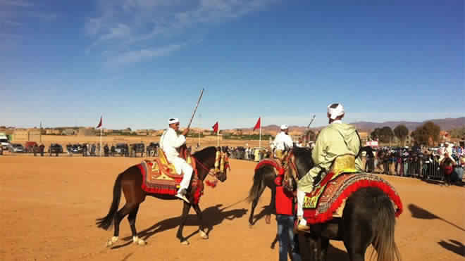 مهرجان الورود 54