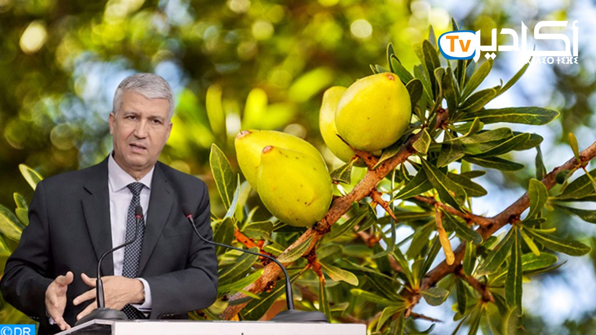 وزير الفلاحة